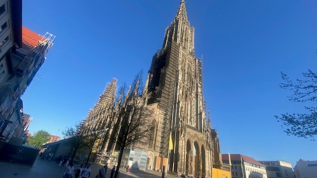 Ulm 9